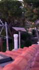 starlink_paiania_sfina starlink_paiania_sfina